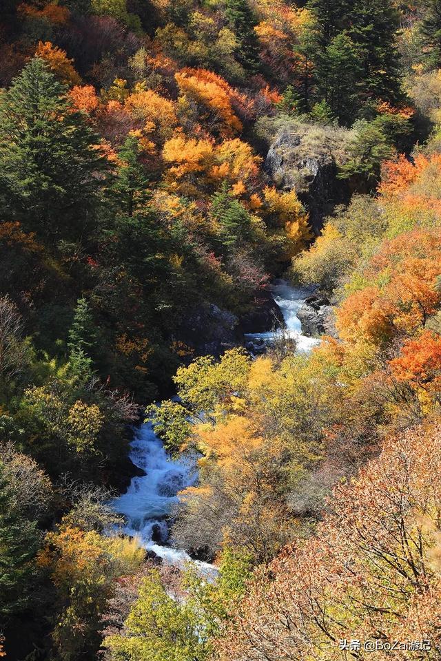 四川旅游景点排名前十名，四川自驾游必去十大景点排名（四川品质地陪导游告诉你）