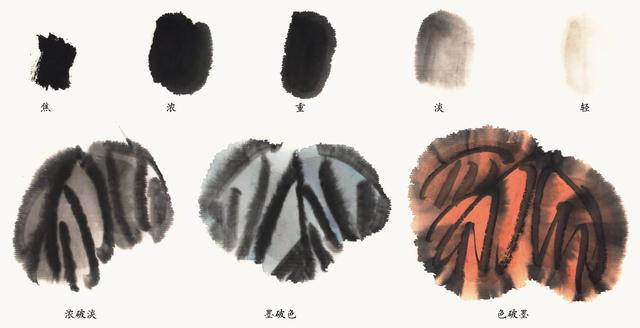 初学者国画入门基础知识，零基础国画教程