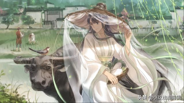 天官赐福黑水和风师虐心，《天官赐福》中你知道黑水为什么放过风师吗