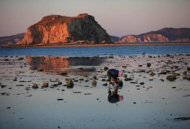 去大连赶海玩的攻略，东北大连哈仙岛