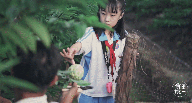 又贵又好吃稀有热带水果，一过中秋就消失