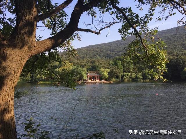 南京小众景点紫金山，登南京紫金山游记