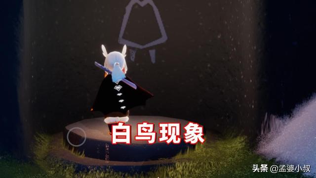 光遇当玩家看见白鸟，光遇什么是白鸟现象