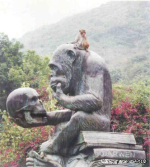 初学单反摄影技巧图解，请先从认识相机开始