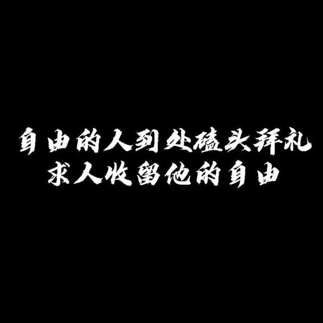 微信好看的背景图，微信朋友圈最好看背景图（个性、沙雕、励志文字控）