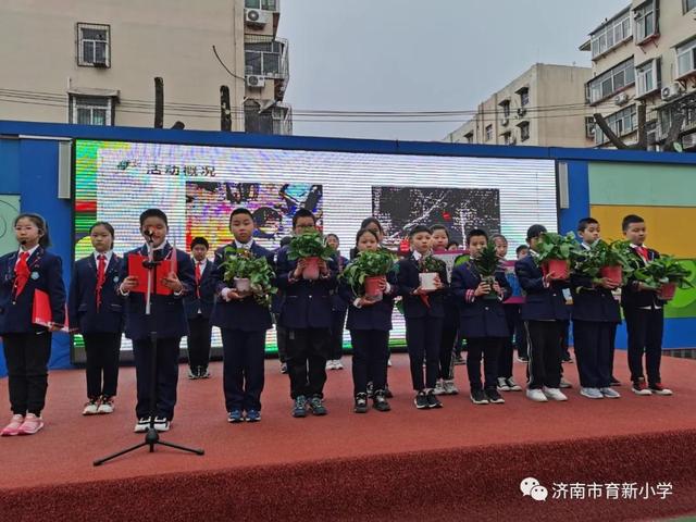 育新小学让身边多一份绿色育新小学四济南市育新小学简介