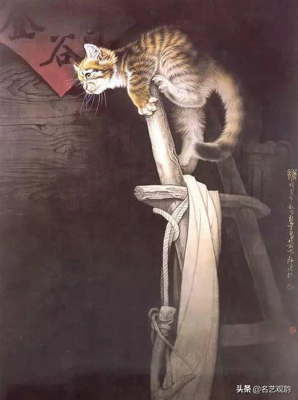 100种小猫怎么画，100种画真猫的画法（教你在纸上养个主子）