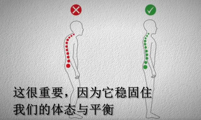中国脊柱脊髓杂志，脊柱脊髓杂志中文（关于举办中国康复医学会第十五届脊柱脊髓专业委员会学术会议的通知）