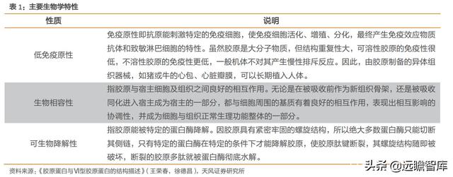 胶原蛋白肽前景，胶原蛋白在美丽和健康领域拥有广阔前景