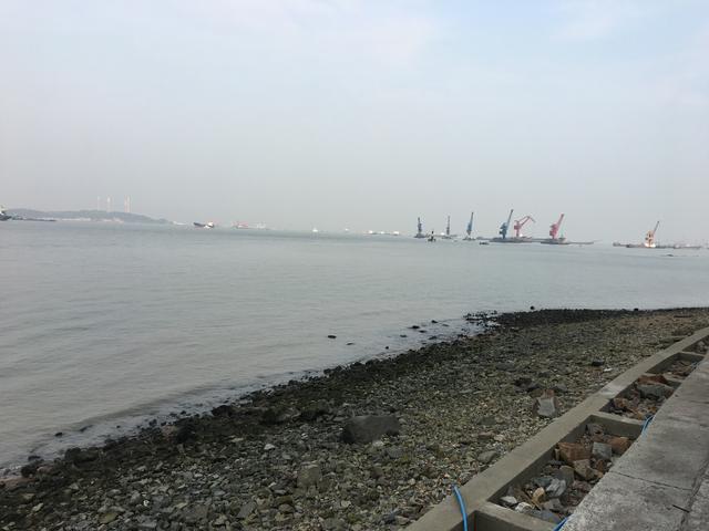 广州哪里可以看海，广州旅游看海的地方（广州这些“无敌海景”碧道藏不住了）