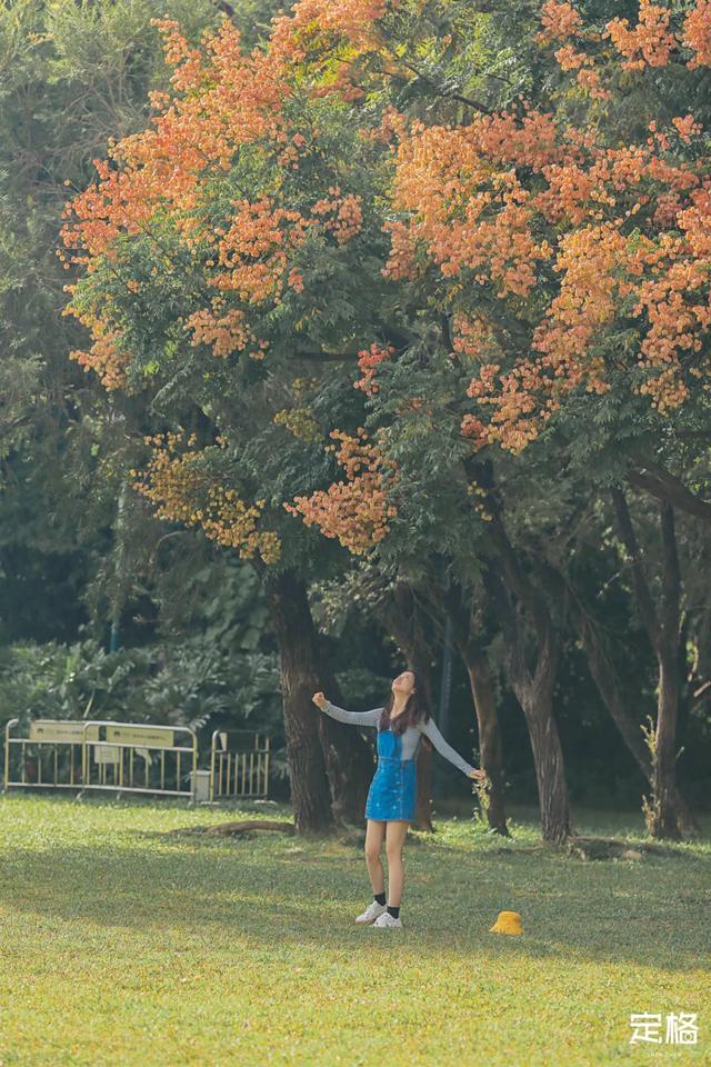 莲花山公园 网红打卡地，莲花山公园又红了