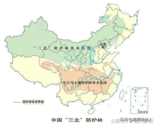 植树造林的意义，关于植树造林的意义及相关知识（植树节的意义）