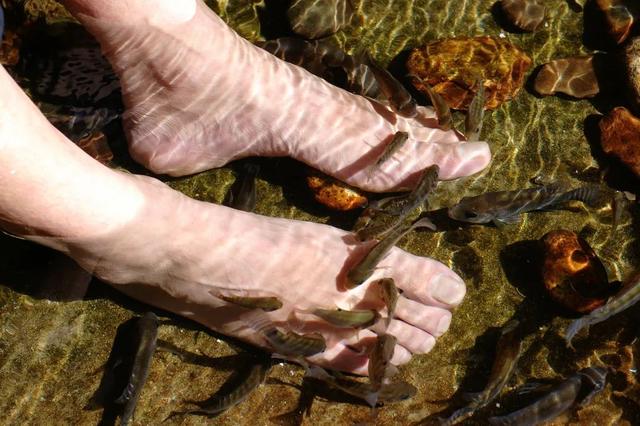 木格措风景区游玩攻略，今冬明春免费游木格措