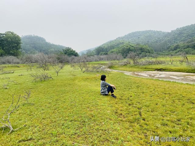广州自驾露营有哪些地方，广州这5个地方真是绝了