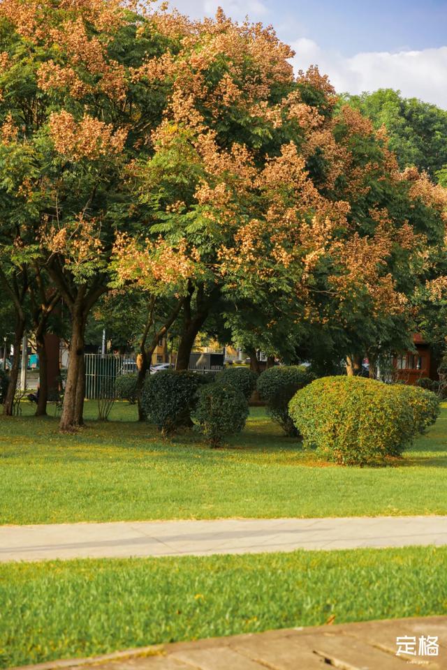 莲花山公园 网红打卡地，莲花山公园又红了
