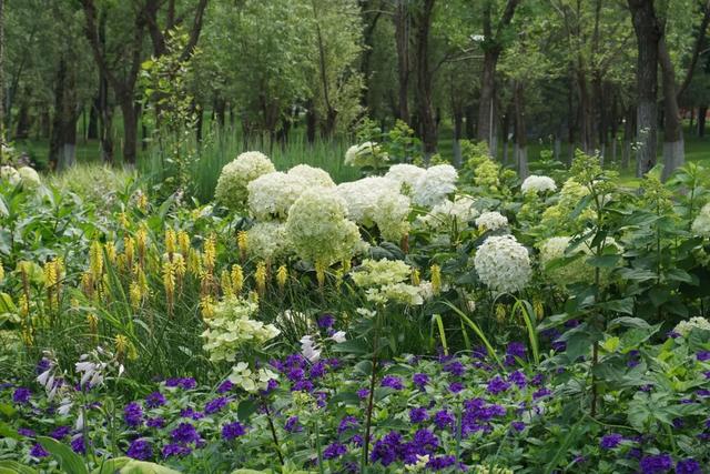 北京必玩景点排名，北京必玩的十个景点排名榜单（北京最值得去的12个景区）