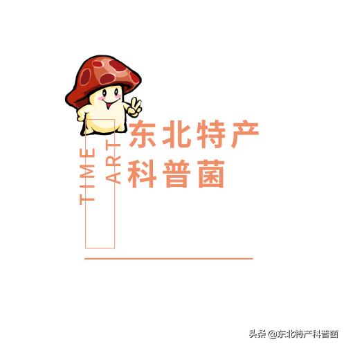 松子为什么那么贵，云南野生松子和普通松子区别（松子，勾起我的回忆）