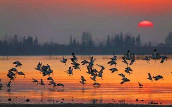 每日诗词名句100首，人间高雅千千万