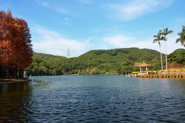 深圳市仙湖植物园，深圳仙湖植物园适合夏天逛吗（深圳仙湖植物园现场实拍图来了）