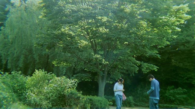 花与爱丽丝剧情深度解析，花与爱丽丝从叙事