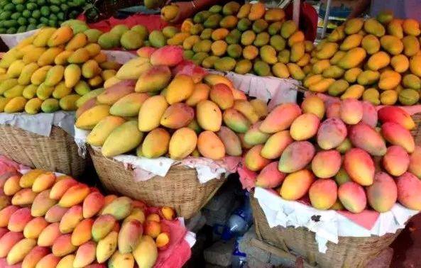 昆明到西双版纳最佳旅游路线，昆明坐火车去西双版纳3.5小时到达