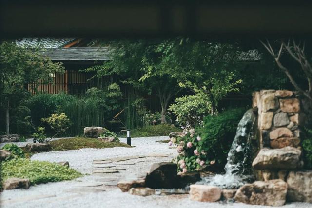 拈花湾攻略必去景点，1600亩拈花湾樱花海