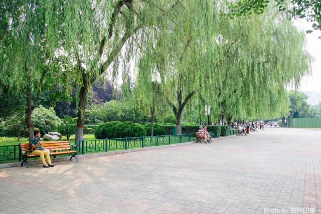 郑州周边免费景点，郑州最近免费旅游景点大全（不出郑州的8个赏花遛娃地）