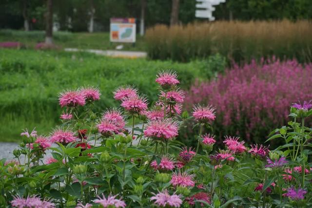 北京必玩景点排名，北京必玩的十个景点排名榜单（北京最值得去的12个景区）