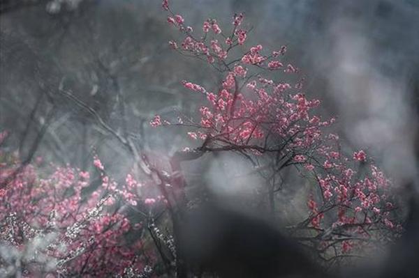 纳兰性德意境很美的诗，10首经典《如梦令》