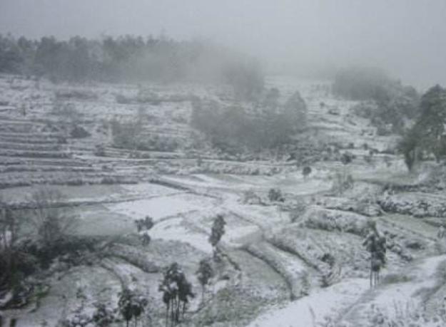 严重雪灾是哪一年，还记得10年前那场百年难遇的大雪灾吗