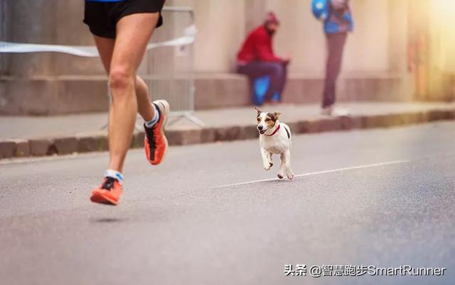 马拉松为什么分成半马全马，完赛半马，怎么开始全马