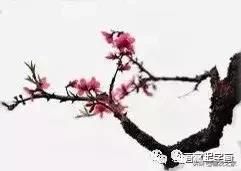 花鸟工笔画的基本步骤，工笔花鸟画法合集