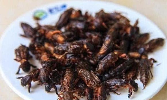 菲律宾必吃的十大美食，受中国美食影响的菲律宾食物