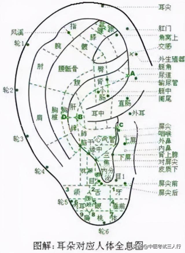 扎针减肥胖(扎针灸减肥有副作用吗)