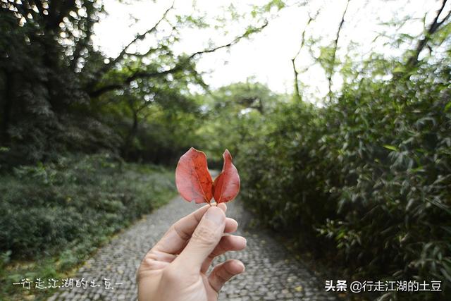 虞山国家森林公园，历史上的虞山公园