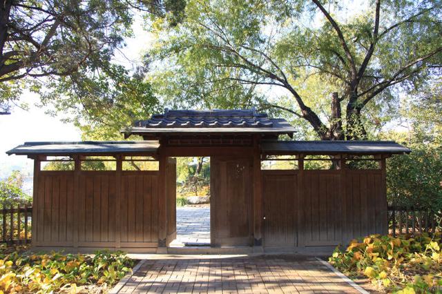 天津水上公园游玩示意图，天津热门旅游景点