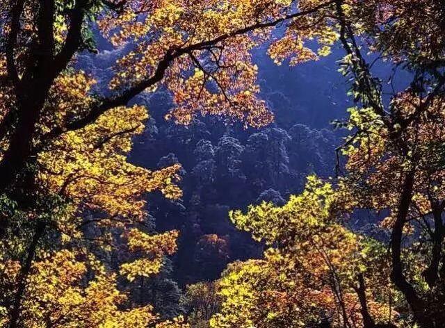 山南旅游景点大全，山南旅游最美景点