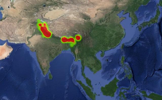 班公湖飞翔棕头鸥，早生华发的白顶溪鸲是鸟界伍子胥