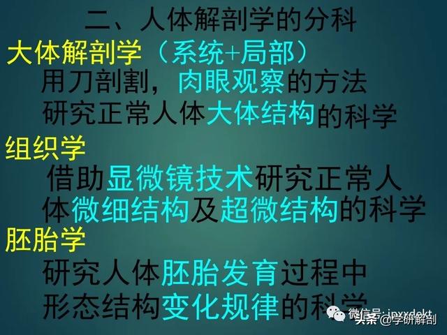 人体解剖学基础，人体解剖学基础知识学什么（基础知识之人体解剖学基础）