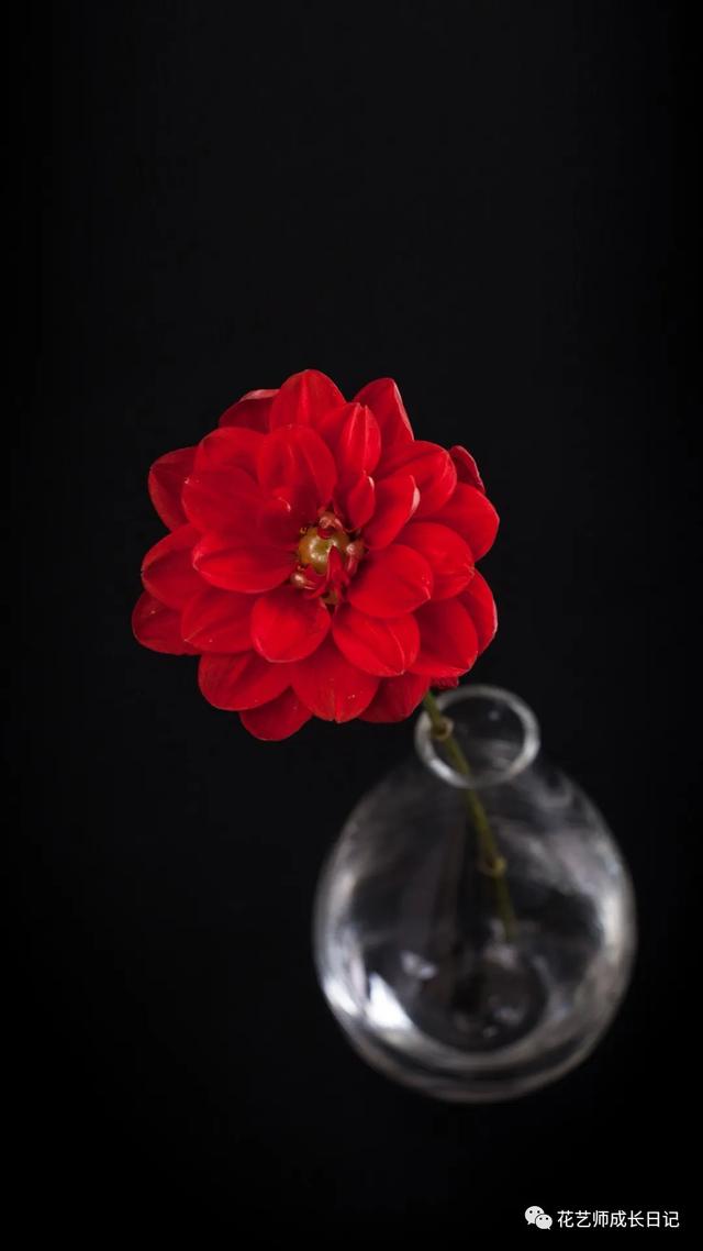 向日葵油画的技法，每日一花三款复古油画里走出的向日葵