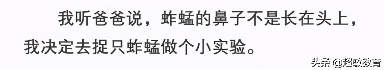 小学作文写作辅导，小学作文写作方法与技巧辅导（超详细的小学作文辅导作文教案——基础篇）