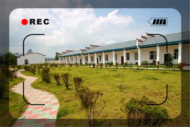 农村做什么致富，当今社会在农村做什么能致富（三个一般人不知道的赚钱项目）