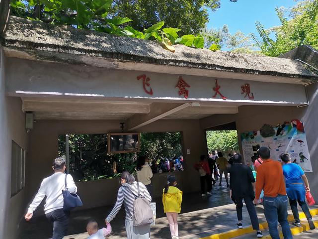广州动物园游玩攻略，广州动物园玩转攻略（广州五一出行旅游攻略之广州动物园）