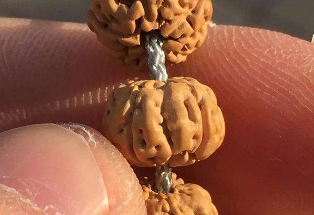 金刚菩提手串的最佳盘玩方式，金刚菩提10大盘玩方法介绍