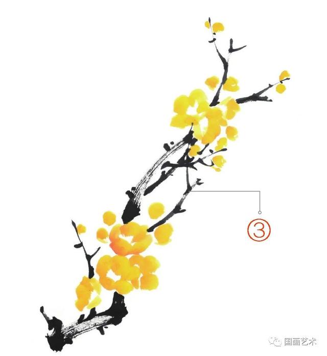 王成喜写意梅花的画法教程，图文教程白梅红梅