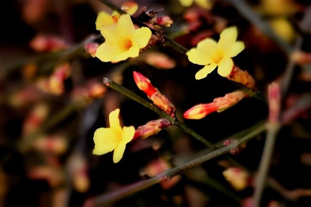 人与人之间的关系要有点距离，人跟人之间最合适的距离