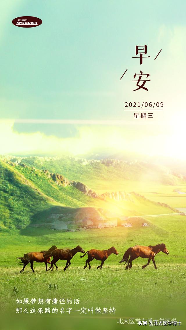 肥胖月经量少是什么原因(肥胖月经量少是怀孕了吗)