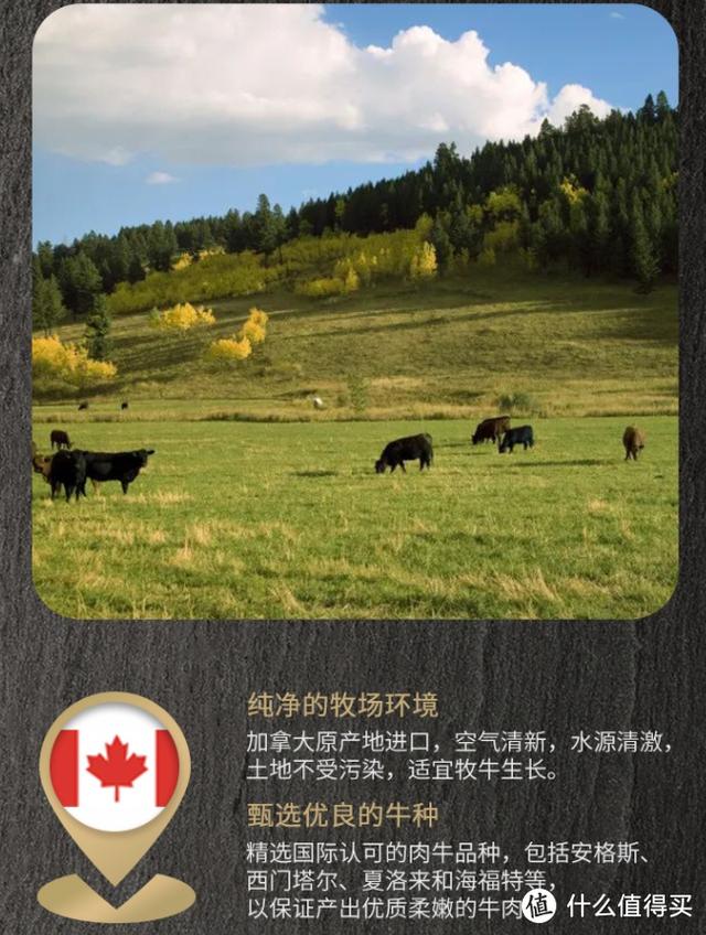 常见的牛排种类和搭配，你需要知道的都在这里