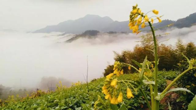 徽州古村落的风景，厚度旅行文山村
