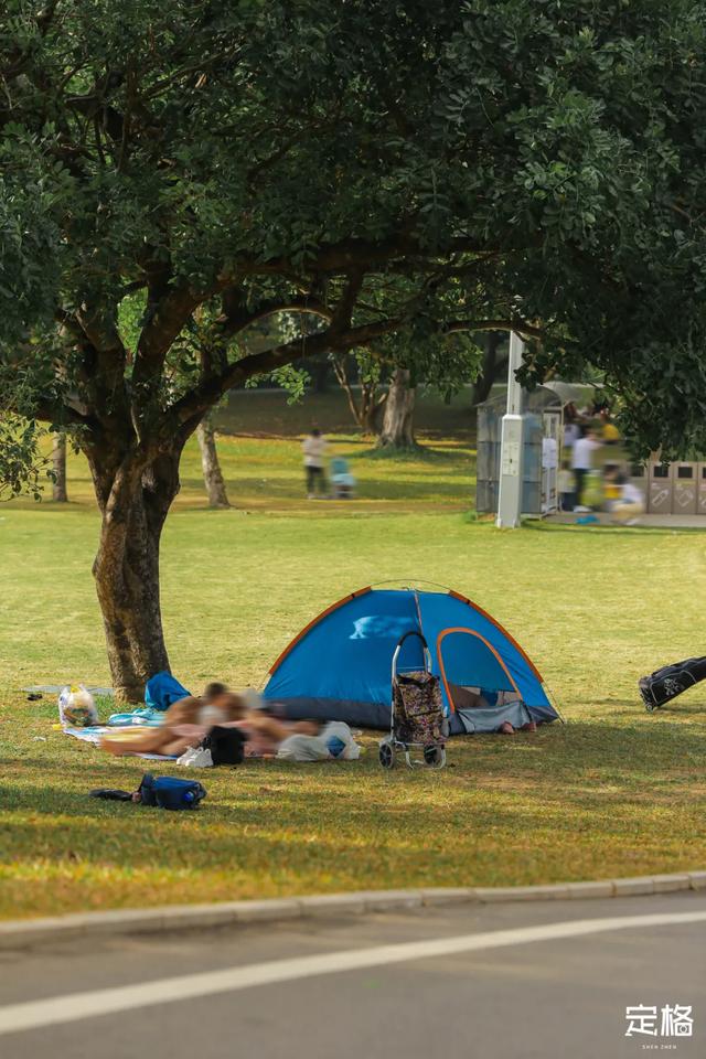 莲花山公园 网红打卡地，莲花山公园又红了